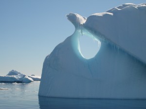 Antarctica (101)