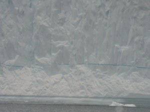 Antarctica (5)